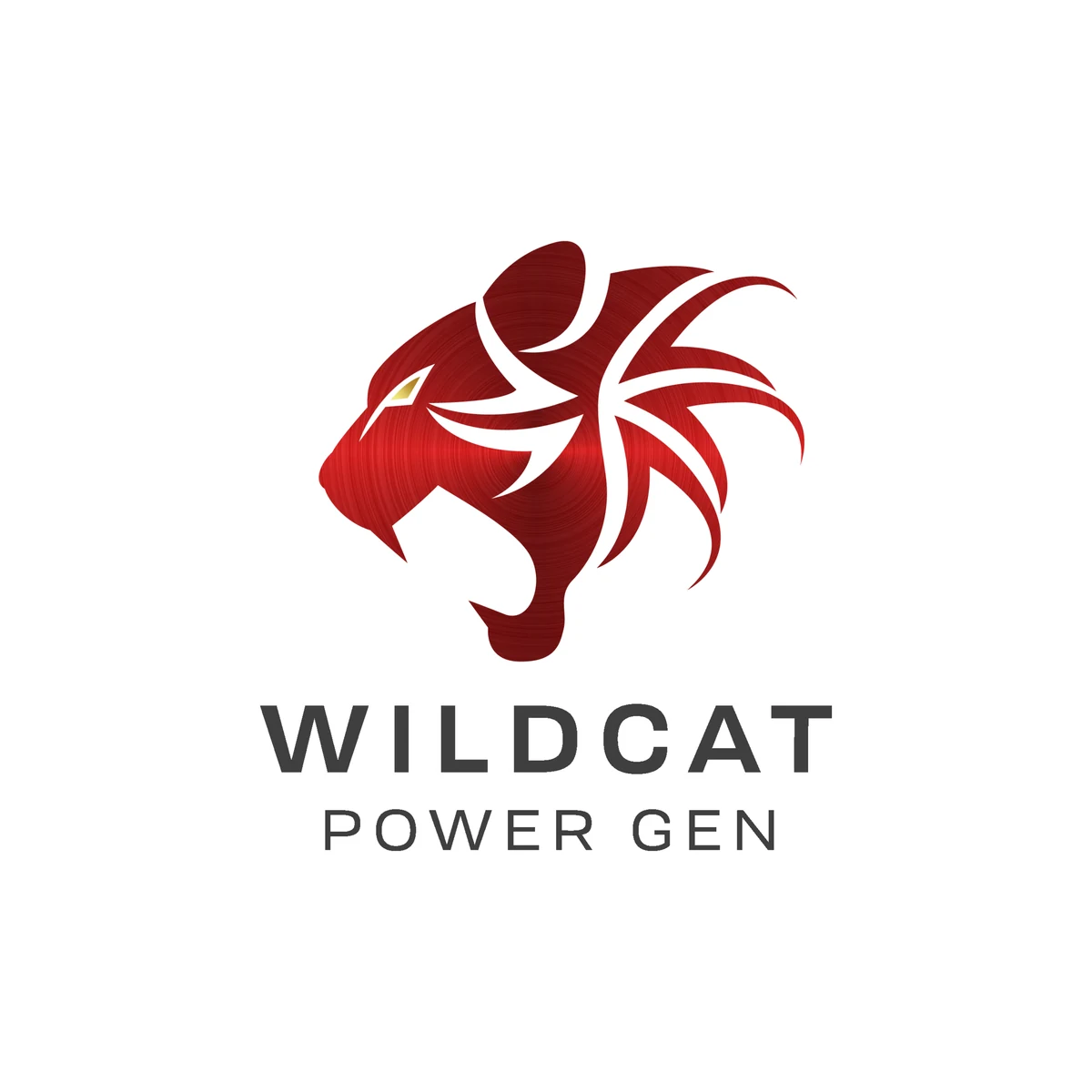 Wildcat Power Gen equipment products available from Steel Haul Equipment
