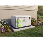 Briggs & Stratton 040794 22kW PowerProtect+ Generator with Dual 200A SE Transfer Switch gallery image 3