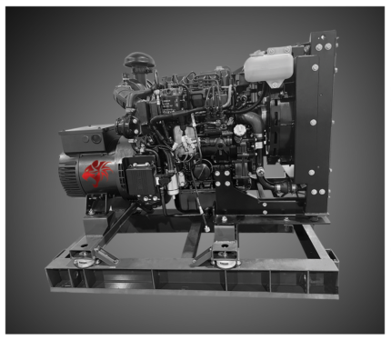 Wildcat Power Gen Wildcat FR0010D4 10kW Frontier 1ph Tier 4F Diesel Generator product image
